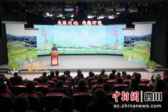 微电影《头雁》首映仪式。 杨勇 摄 微电影《头雁》首映仪式。 杨勇 摄
