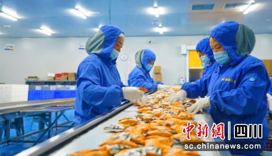雅娴食品生产线。衡欢 摄 雅娴食品生产线。衡欢 摄