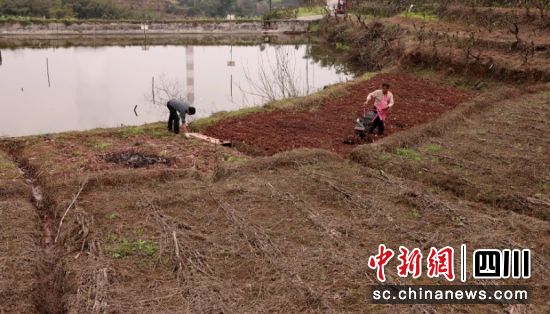 农户正在忙碌。余健 摄 农户正在忙碌。余健 摄