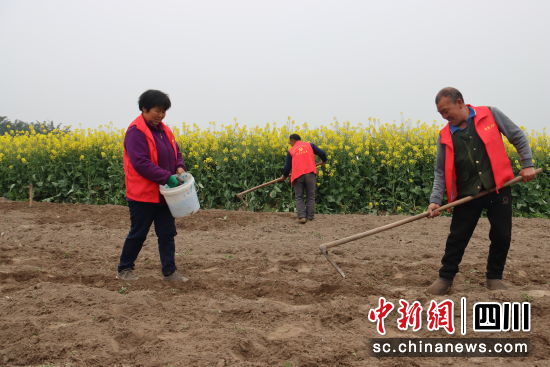 党员志愿者帮助农户播种玉米助春耕。肖光荣 摄 党员志愿者帮助农户播种玉米助春耕。肖光荣 摄