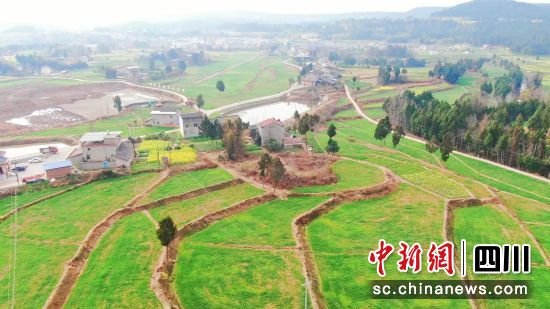 整治后的农田。 梓潼县委宣传部供图 整治后的农田。 梓潼县委宣传部供图
