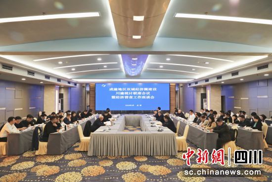 会议现场。(四川省统计局供图) 会议现场。(四川省统计局供图)