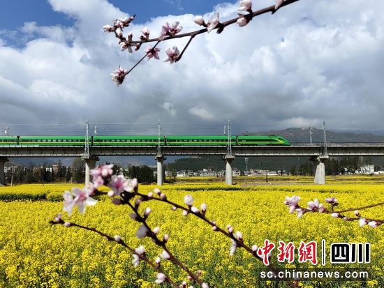 越西春日赏花美景。(越西县文化广播电视和旅游局 供图) 越西春日赏花美景。(越西县文化广播电视和旅游局 供图)