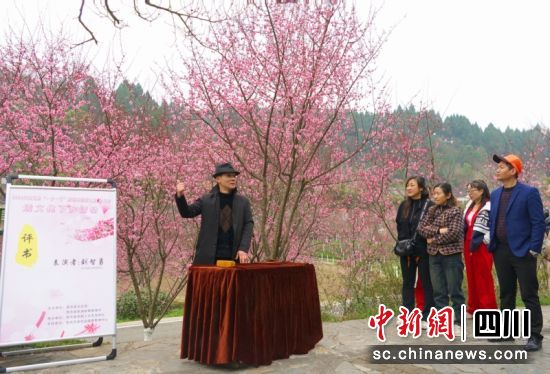 西充张澜故里旅游区梅开正盛。衡欢 摄 西充张澜故里旅游区梅开正盛。衡欢 摄