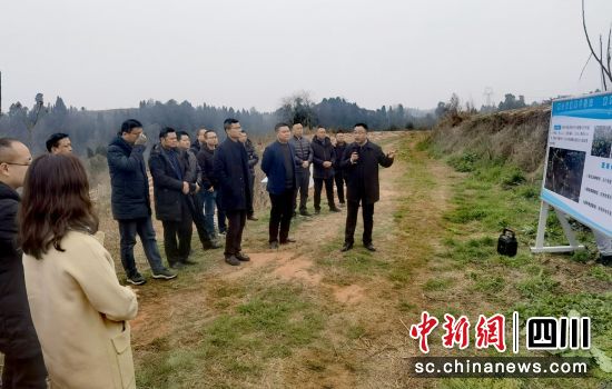 现场交流学习。沈佳敏供图 现场交流学习。沈佳敏供图