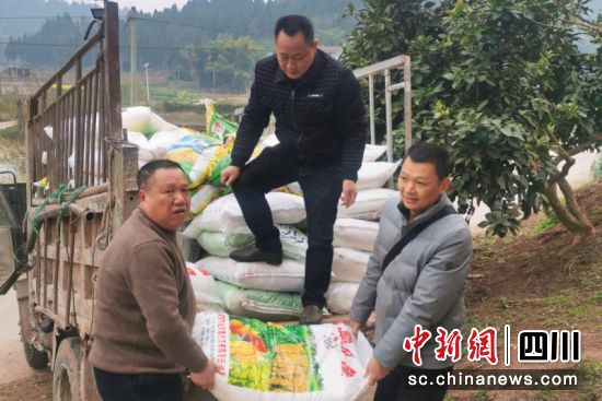 正在搬运肥料。潘政吉 摄 正在搬运肥料。潘政吉 摄