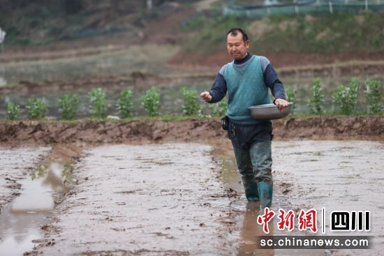 村民正在播种。杨晓川 摄 村民正在播种。杨晓川 摄
