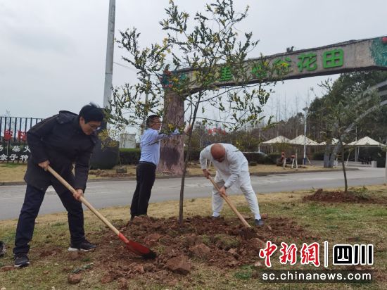 义务植树活动现场。天府新区永兴街道供图 义务植树活动现场。天府新区永兴街道供图