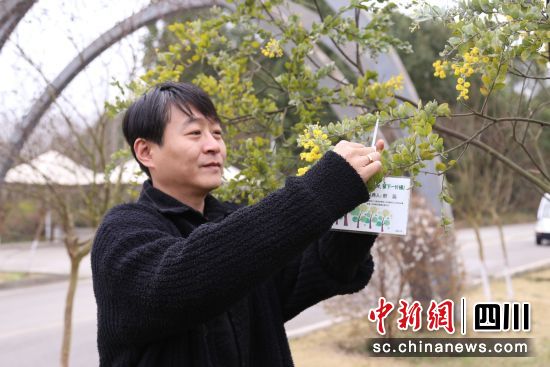 义务植树活动现场。天府新区永兴街道供图 义务植树活动现场。天府新区永兴街道供图