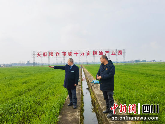 农行成都邛崃支行客户经理到田间地头了解粮油产业发展情况。四川农行 供图 农行成都邛崃支行客户经理到田间地头了解粮油产业发展情况。四川农行 供图