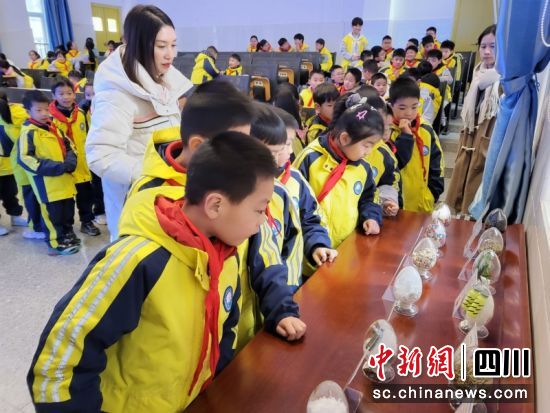 简阳市禁毒办走进简阳市射洪坝筒车小学开展毒品预防教育活动。吴蝶 摄 简阳市禁毒办走进简阳市射洪坝筒车小学开展毒品预防教育活动。吴蝶 摄