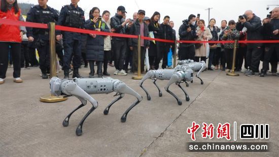 机器狗表演。 旌阳区融媒体中心供图 机器狗表演。 旌阳区融媒体中心供图