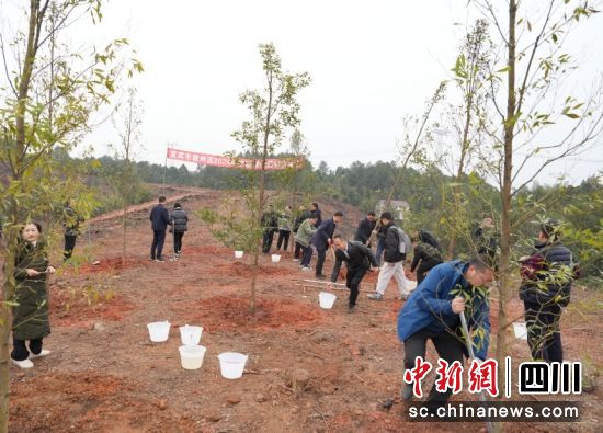 叙州区干部职工参与义务植树活动。陈钰新 摄 叙州区干部职工参与义务植树活动。陈钰新 摄