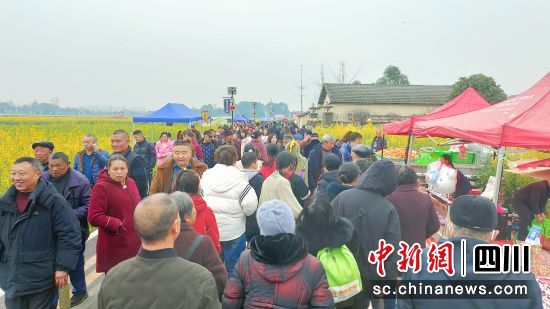 活动现场人流如织。 杨勇 摄 活动现场人流如织。 杨勇 摄