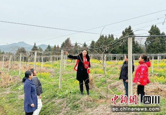 志愿者向农户传授猕猴桃春季管理技术。梓潼县融媒体中心供图 志愿者向农户传授猕猴桃春季管理技术。梓潼县融媒体中心供图