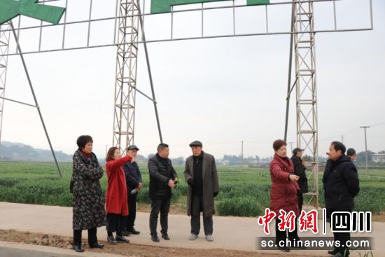 退休干部调研怡乐镇科创种业园区。马云 摄 退休干部调研怡乐镇科创种业园区。马云 摄