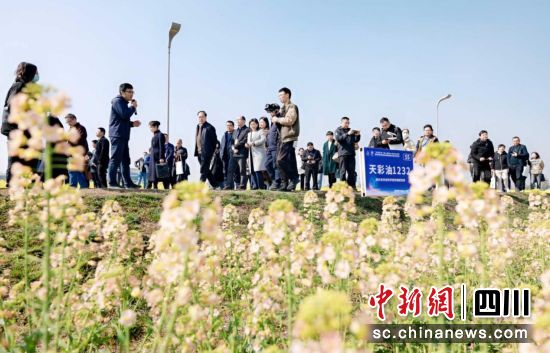 现场观摩会。四川省农业科学院供图 现场观摩会。四川省农业科学院供图