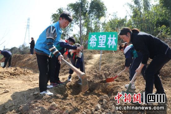 正在栽种现场。宋健 摄 正在栽种现场。宋健 摄