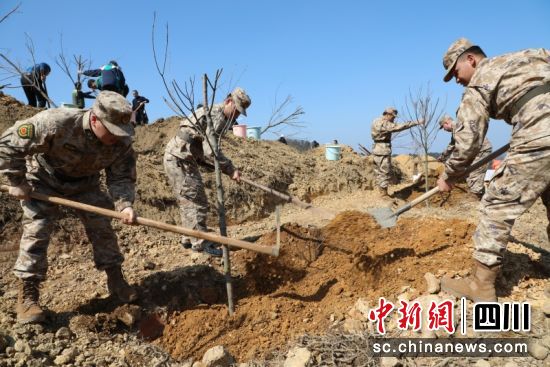正在栽种现场。宋健 摄 正在栽种现场。宋健 摄