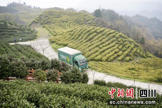 邮车上茶山揽收茶包。万兴美 摄 邮车上茶山揽收茶包。万兴美 摄