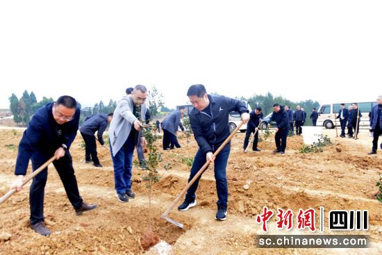 植树现场。张良 摄 植树现场。张良 摄