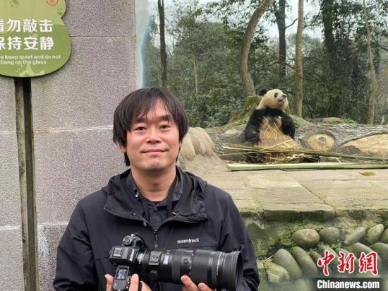 日本大熊猫摄影师高氏贵博在中国大熊猫保护研究中心雅安基地拍摄大熊猫“香香”。(资料图,受访者供图) 日本大熊猫摄影师高氏贵博在中国大熊猫保护研究中心雅安基地拍摄大熊猫“香香”。(资料图,受访者供图)