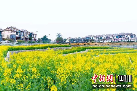 春色宜人的永安镇。永安镇 供图 春色宜人的永安镇。永安镇 供图