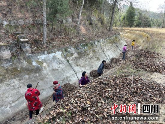 清理沟渠。 梓潼县融媒体中心供图 清理沟渠。 梓潼县融媒体中心供图
