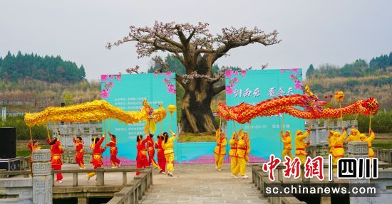 西充县第十二届桃花季开幕。衡欢 摄 西充县第十二届桃花季开幕。衡欢 摄