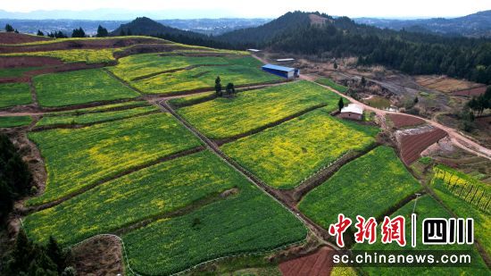 灵鹫镇青山子村集体经济产业园内安装的运输轨道。郭明 摄 灵鹫镇青山子村集体经济产业园内安装的运输轨道。郭明 摄