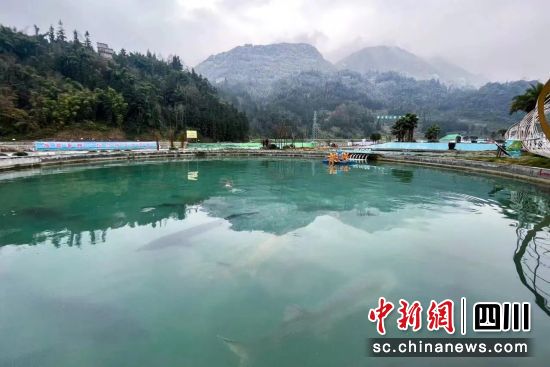 天全润兆鲟业有限公司养殖场。天全润兆鲟业有限公司 供图 天全润兆鲟业有限公司养殖场。天全润兆鲟业有限公司 供图