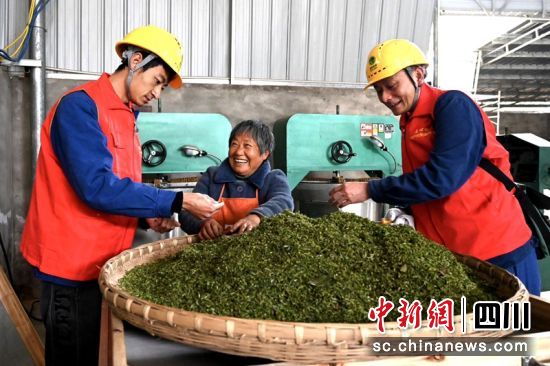用电炒制新茶便捷,茶农(中)脸上露笑容。万欣 摄 用电炒制新茶便捷,茶农(中)脸上露笑容。万欣 摄