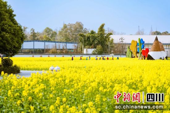 东林艺术村油菜花盛开。郫都区融媒体中心 供图 东林艺术村油菜花盛开。郫都区融媒体中心 供图
