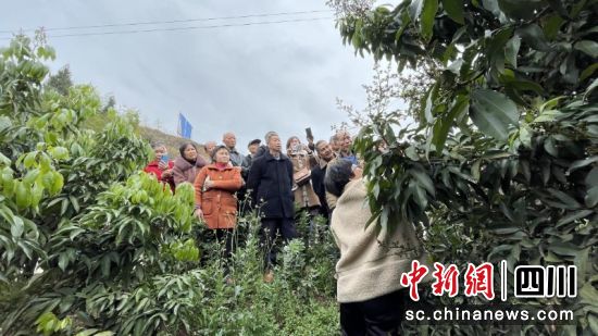 正在果园里实操培训。刘倩 摄 正在果园里实操培训。刘倩 摄