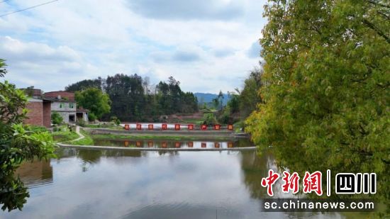 稻虾种养基地。李媛媛摄 稻虾种养基地。李媛媛摄