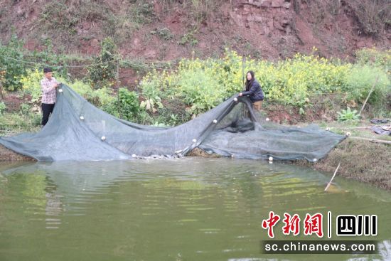 罗士营和陈洪萍正在起鱼。杨晓川 摄 罗士营和陈洪萍正在起鱼。杨晓川 摄