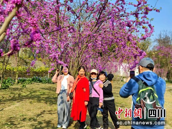 游客在成都市植物园合影留念。(成都市植物园 供图) 游客在成都市植物园合影留念。(成都市植物园 供图)