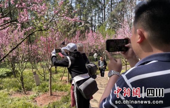参观尖山风景区。自贡市委宣传部 供图 参观尖山风景区。自贡市委宣传部 供图