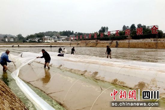 春耕备耕掀热潮。泸县融媒体中心供图 春耕备耕掀热潮。泸县融媒体中心供图