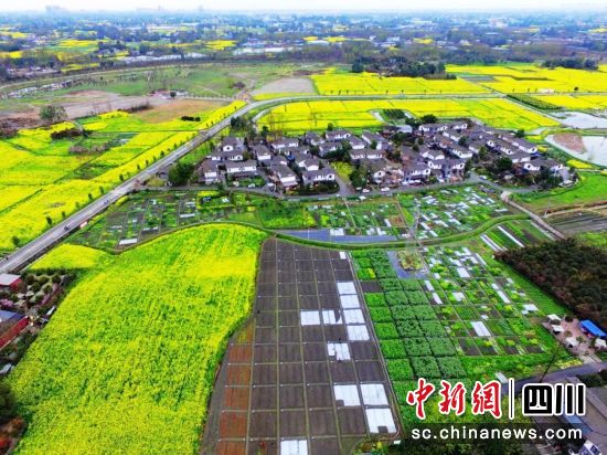 郫都区乡村道路。郫都区融媒体中心 供图 郫都区乡村道路。郫都区融媒体中心 供图