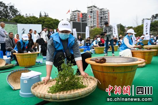 参赛选手轻抖蔑盘,迅速降低叶温。记者 刘忠俊 摄 参赛选手轻抖蔑盘,迅速降低叶温。记者 刘忠俊 摄