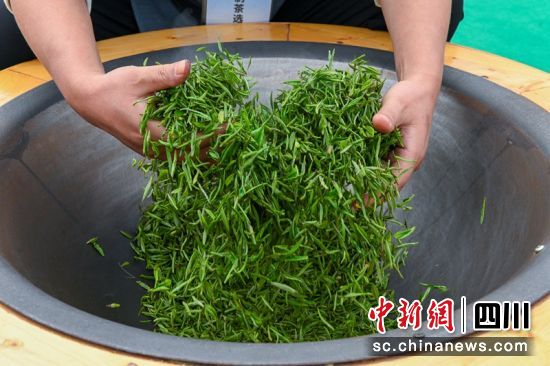 手工制茶比赛现场参赛选手正在对茶叶进行杀青。记者 刘忠俊 摄 手工制茶比赛现场参赛选手正在对茶叶进行杀青。记者 刘忠俊 摄