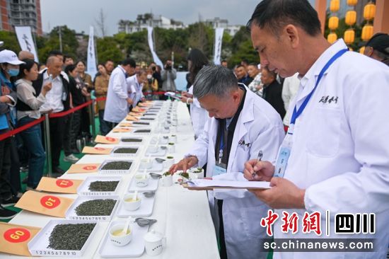 专家评审现场。记者 刘忠俊 摄 专家评审现场。记者 刘忠俊 摄