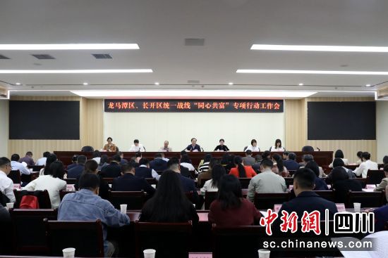 会议现场。龙马潭区委统战部供图 会议现场。龙马潭区委统战部供图