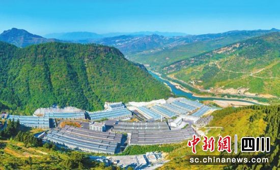 郎酒盘龙湾生态酿酒区。 李骁 摄 郎酒盘龙湾生态酿酒区。 李骁 摄