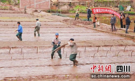 春耕备耕现场。沿滩融媒 供图 春耕备耕现场。沿滩融媒 供图