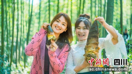 游客收获春笋很开心。蜀南文旅集团 供图 游客收获春笋很开心。蜀南文旅集团 供图