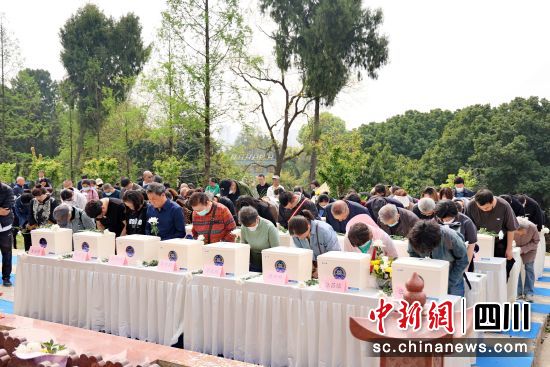 仪式现场。成都市民政局供图 仪式现场。成都市民政局供图
