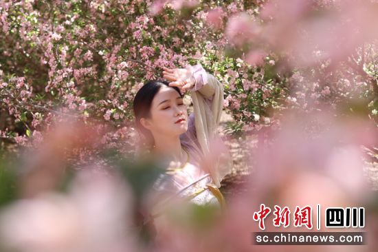 游客在樱花下拍照。潘帅 摄 游客在樱花下拍照。潘帅 摄