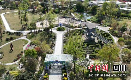 春天花乐园。郫都区融媒体中心 供图 春天花乐园。郫都区融媒体中心 供图